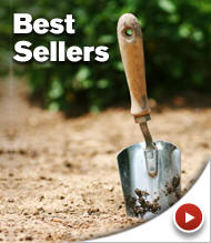 best_sellers.png